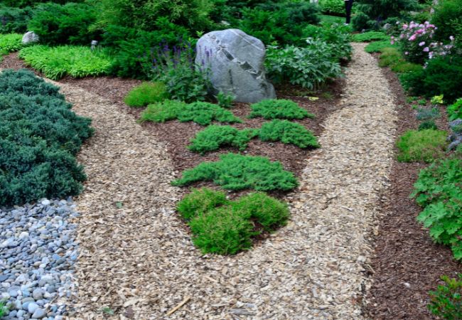 Mulch vs Stone Choosing the Right One